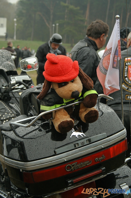 Rozpoczęcie sezonu motocyklowego 2012 - Poznań 21.04.2012 r. Foto: Ewelina Gutowska Rozpoczęcie sezonu motocyklowego 2012 - Poznań 21.04.2012 r. Foto: Ewelina Gutowska