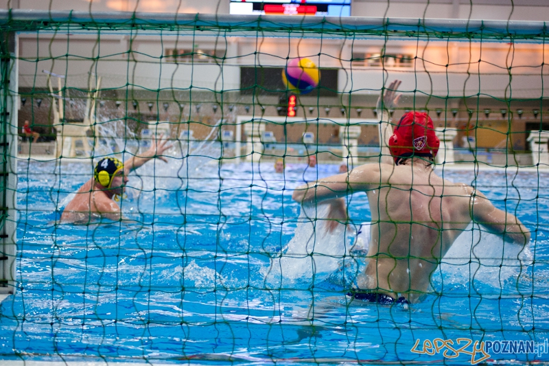 Alstal Waterpolo Poznan - LSTW UŁ Łódź Foto: LepszyPOZNAN.pl / Paweł Rychter Alstal Waterpolo Poznan - LSTW UŁ Łódź Foto: LepszyPOZNAN.pl / Paweł Rychter