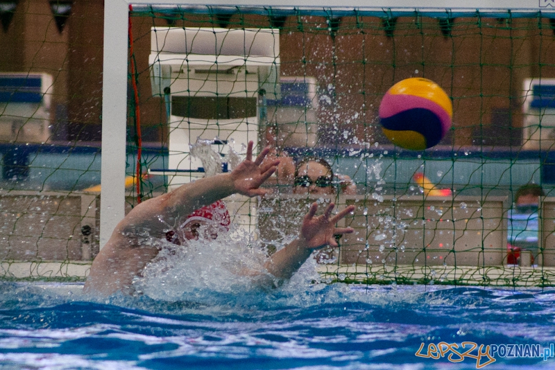 Alstal Waterpolo Poznan - LSTW UŁ Łódź Foto: LepszyPOZNAN.pl / Paweł Rychter Alstal Waterpolo Poznan - LSTW UŁ Łódź Foto: LepszyPOZNAN.pl / Paweł Rychter