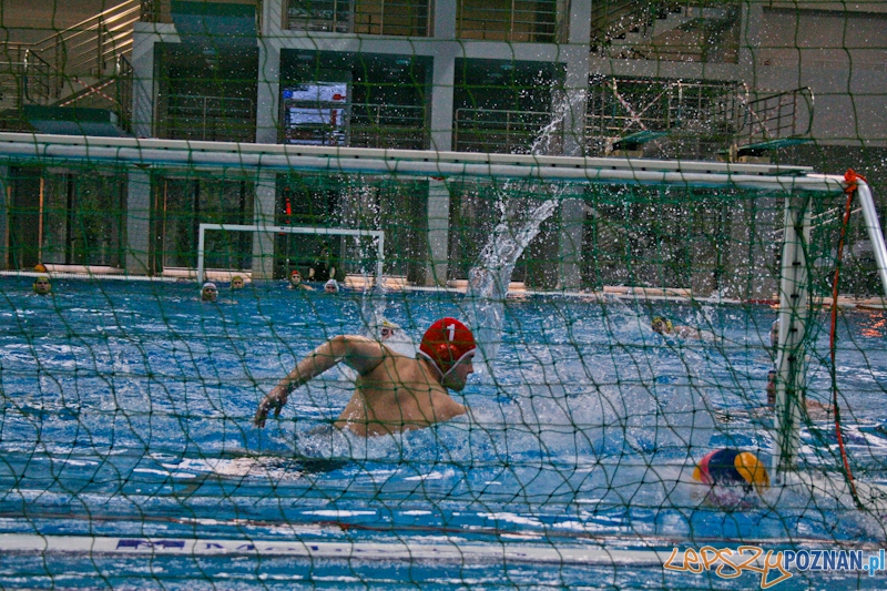 Alstal Waterpolo Poznan - LSTW UŁ Łódź Foto: Ewelina Gutowska Alstal Waterpolo Poznan - LSTW UŁ Łódź Foto: Ewelina Gutowska