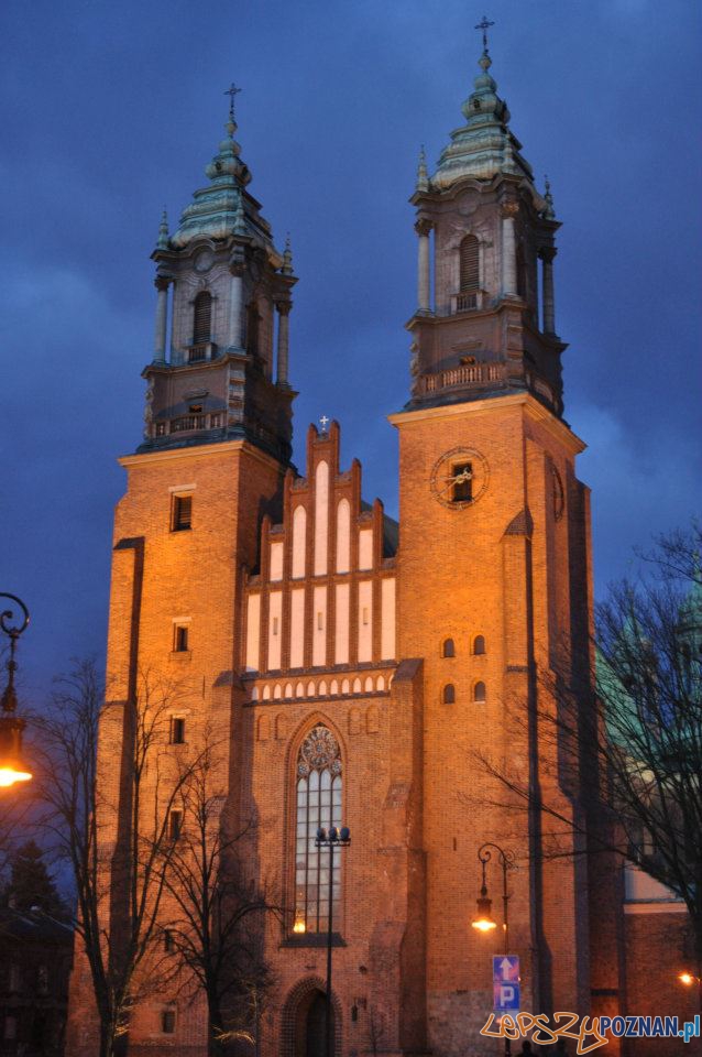 Godzina dla Ziemi 2012 Foto: Ewa Kornatowska Godzina dla Ziemi 2012 Foto: Ewa Kornatowska