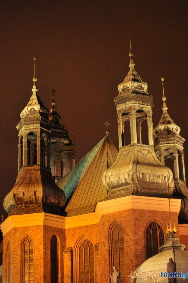 Godzina dla Ziemi 2012 Foto: Ewa Kornatowska Godzina dla Ziemi 2012 Foto: Ewa Kornatowska