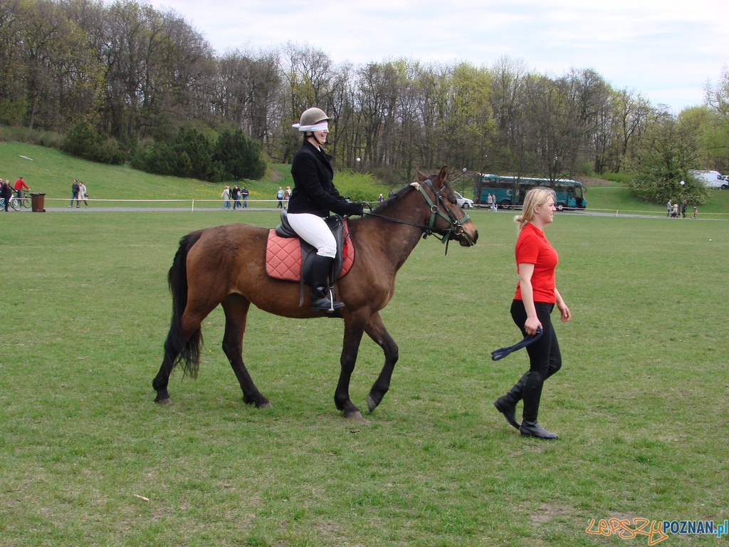Dni Ułana - Festyn Kawaleryjski Foto: lepszyPOZNAN.pl / ag Dni Ułana - Festyn Kawaleryjski Foto: lepszyPOZNAN.pl / ag