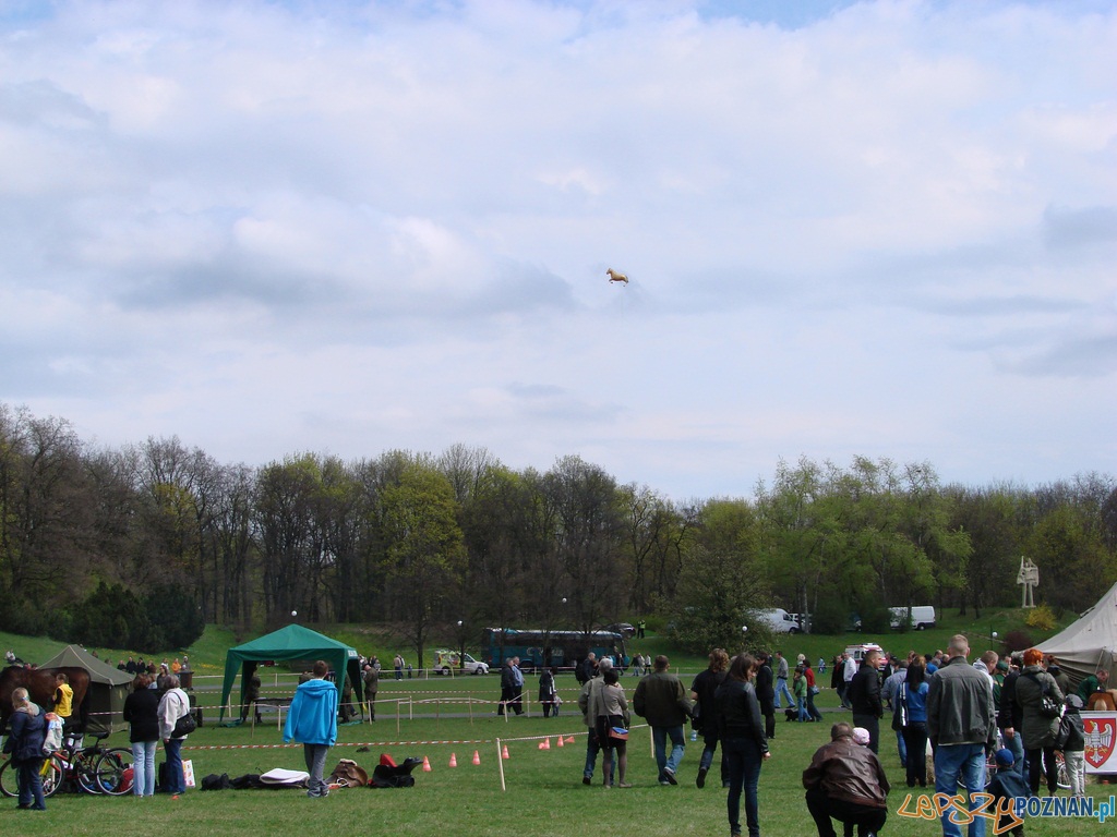 Dni Ułana - Festyn Kawaleryjski Foto: lepszyPOZNAN.pl / ag Dni Ułana - Festyn Kawaleryjski Foto: lepszyPOZNAN.pl / ag