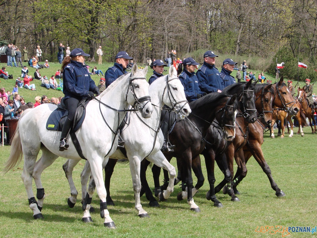 Dni Ułana - Festyn Kawaleryjski Foto: lepszyPOZNAN.pl / ag Dni Ułana - Festyn Kawaleryjski Foto: lepszyPOZNAN.pl / ag