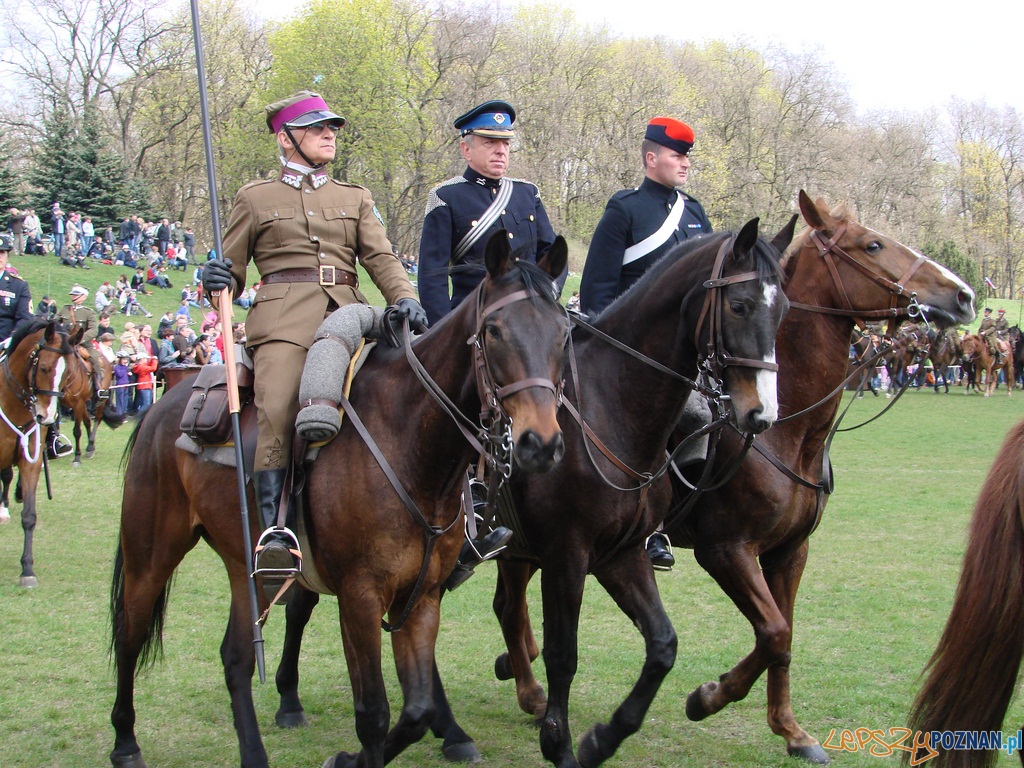 Dni Ułana - Festyn Kawaleryjski Foto: lepszyPOZNAN.pl / ag Dni Ułana - Festyn Kawaleryjski Foto: lepszyPOZNAN.pl / ag