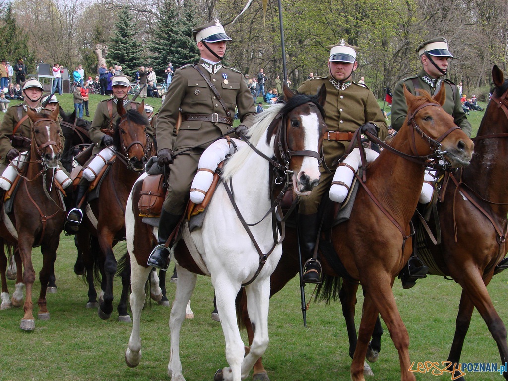 Dni Ułana - Festyn Kawaleryjski Foto: lepszyPOZNAN.pl / ag Dni Ułana - Festyn Kawaleryjski Foto: lepszyPOZNAN.pl / ag