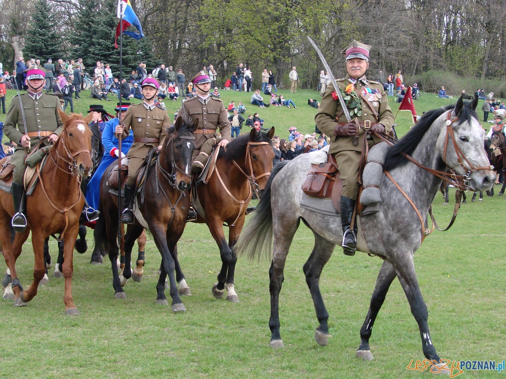 Dni Ułana - Festyn Kawaleryjski Foto: lepszyPOZNAN.pl / ag Dni Ułana - Festyn Kawaleryjski Foto: lepszyPOZNAN.pl / ag