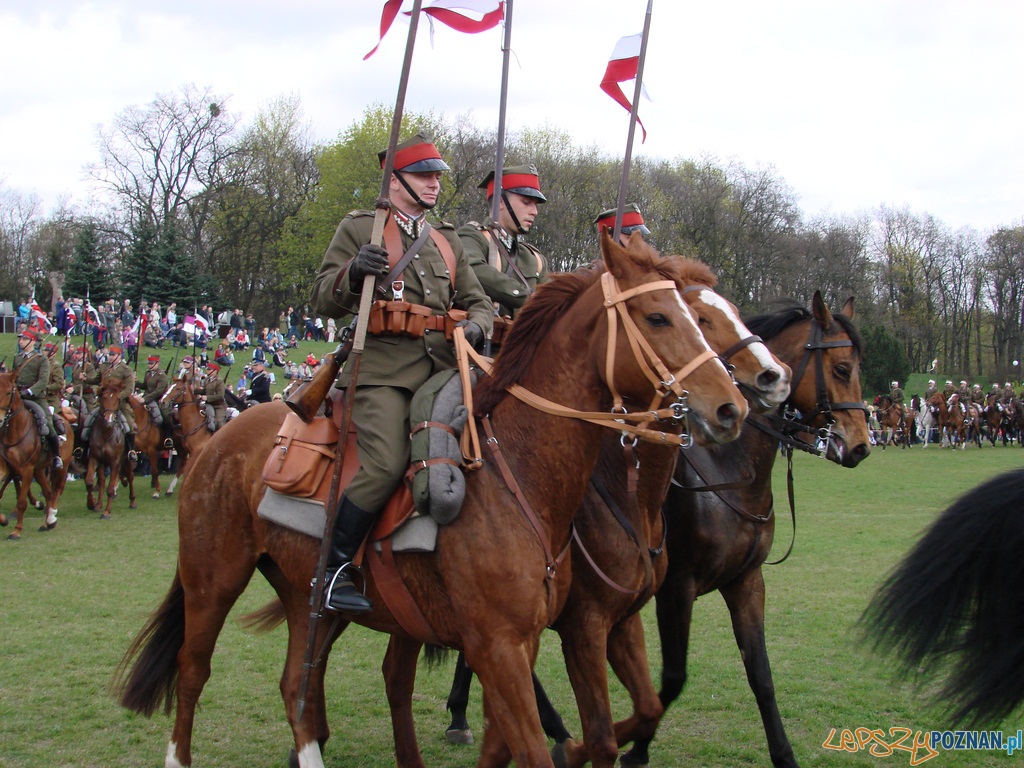 Dni Ułana - Festyn Kawaleryjski Foto: lepszyPOZNAN.pl / ag Dni Ułana - Festyn Kawaleryjski Foto: lepszyPOZNAN.pl / ag