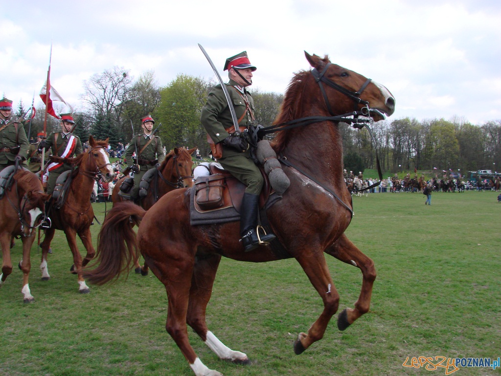 Dni Ułana - Festyn Kawaleryjski Foto: lepszyPOZNAN.pl / ag Dni Ułana - Festyn Kawaleryjski Foto: lepszyPOZNAN.pl / ag