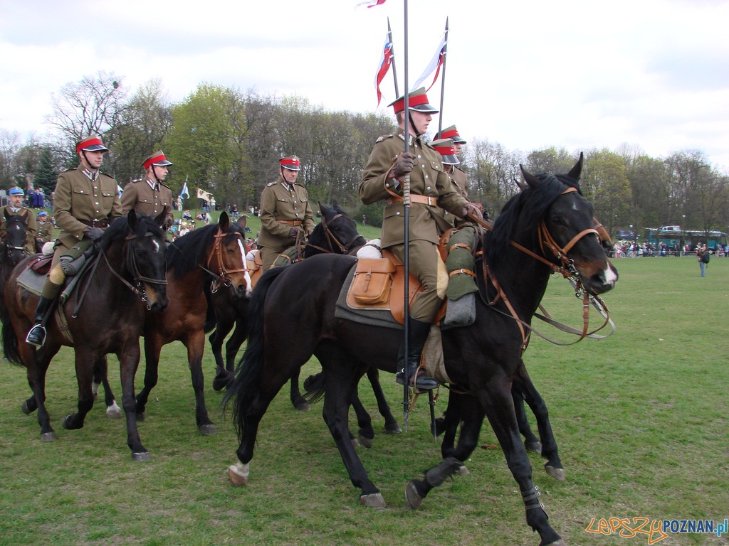 Dni Ułana - Festyn Kawaleryjski Foto: lepszyPOZNAN.pl / ag Dni Ułana - Festyn Kawaleryjski Foto: lepszyPOZNAN.pl / ag