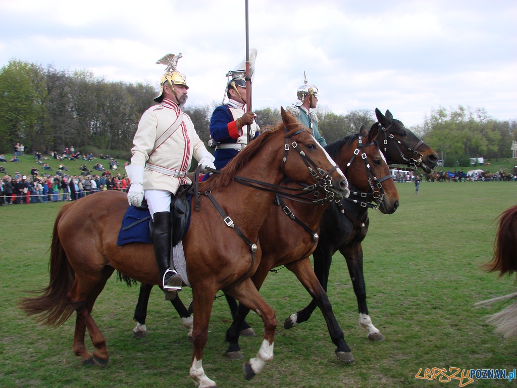 Dni Ułana - Festyn Kawaleryjski Foto: lepszyPOZNAN.pl / ag Dni Ułana - Festyn Kawaleryjski Foto: lepszyPOZNAN.pl / ag