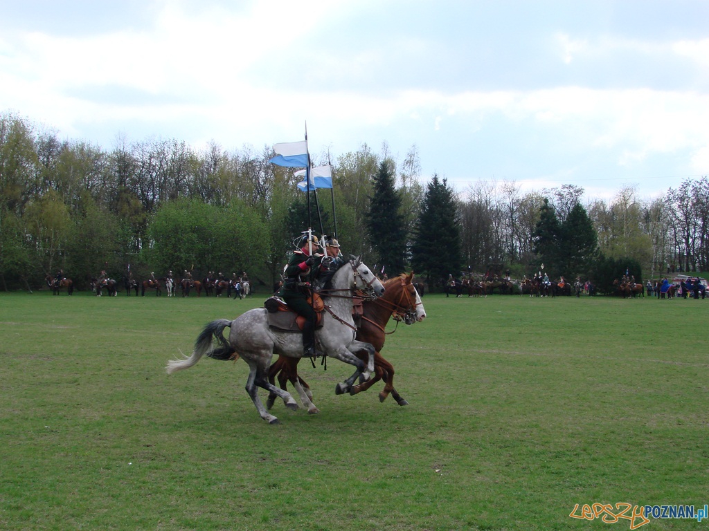 Dni Ułana - Festyn Kawaleryjski Foto: lepszyPOZNAN.pl / ag Dni Ułana - Festyn Kawaleryjski Foto: lepszyPOZNAN.pl / ag