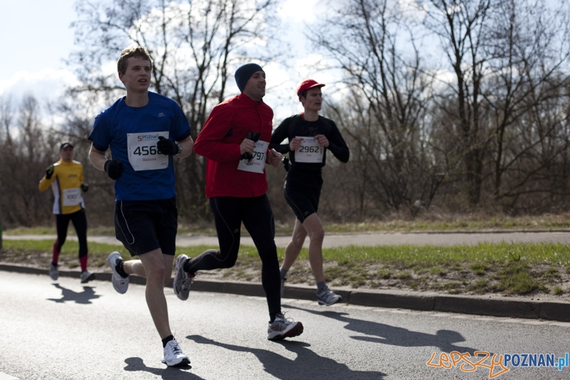 5 Poznań Półmaraton Foto: Ewelina Gutowska 5 Poznań Półmaraton Foto: Ewelina Gutowska