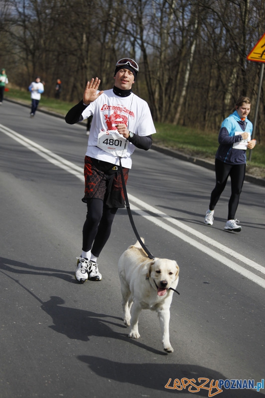 5 Poznań Półmaraton Foto: Ewelina Gutowska 5 Poznań Półmaraton Foto: Ewelina Gutowska