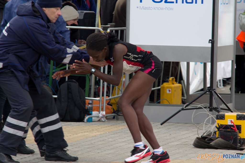 5 Poznań Półmaraton Foto: (c) Anna Bernard 5 Poznań Półmaraton Foto: (c) Anna Bernard