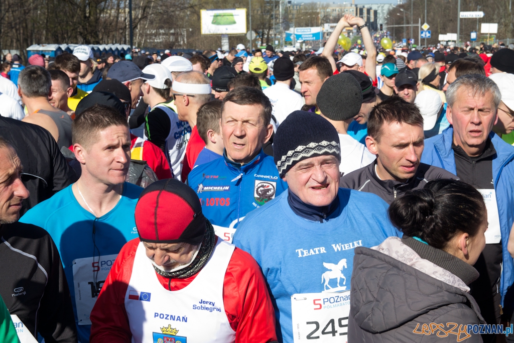 5 Poznań Półmaraton Foto: (c) Anna Bernard 5 Poznań Półmaraton Foto: (c) Anna Bernard