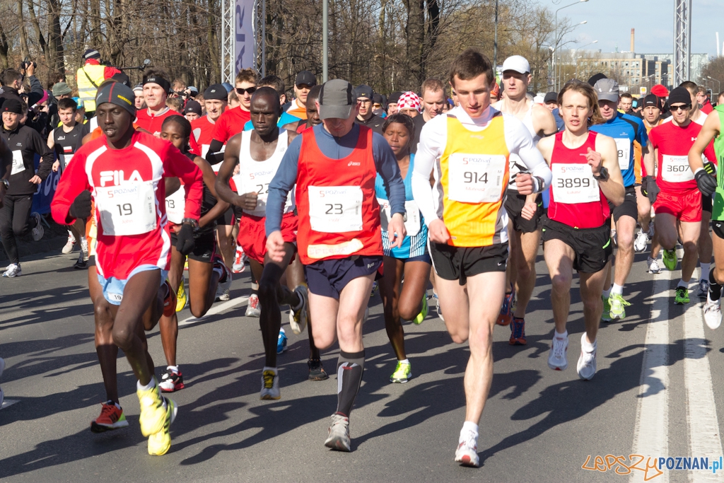 5 Poznań Półmaraton Foto: (c) Anna Bernard 5 Poznań Półmaraton Foto: (c) Anna Bernard