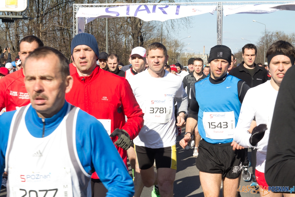 5 Poznań Półmaraton Foto: (c) Anna Bernard 5 Poznań Półmaraton Foto: (c) Anna Bernard
