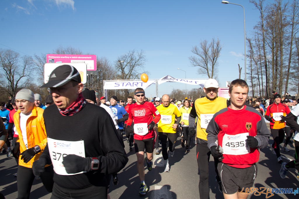 5 Poznań Półmaraton Foto: (c) Anna Bernard 5 Poznań Półmaraton Foto: (c) Anna Bernard