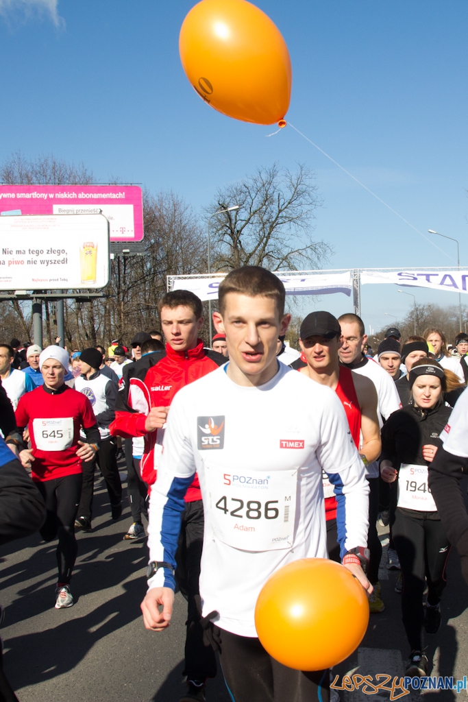 5 Poznań Półmaraton Foto: (c) Anna Bernard 5 Poznań Półmaraton Foto: (c) Anna Bernard