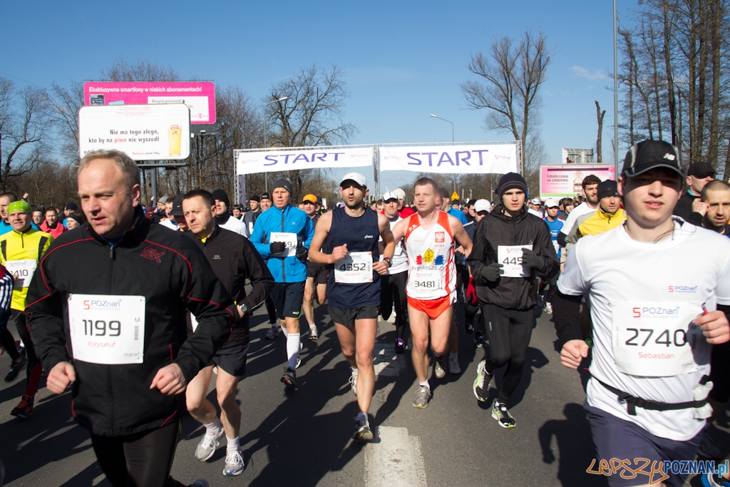 5 Poznań Półmaraton Foto: (c) Anna Bernard 5 Poznań Półmaraton Foto: (c) Anna Bernard