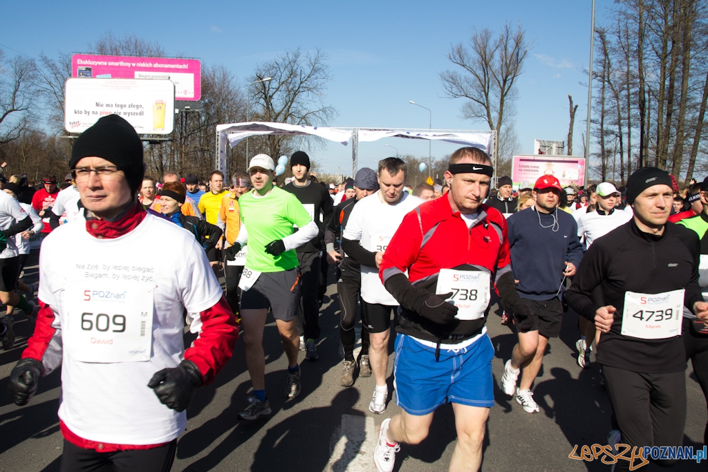 5 Poznań Półmaraton Foto: (c) Anna Bernard 5 Poznań Półmaraton Foto: (c) Anna Bernard