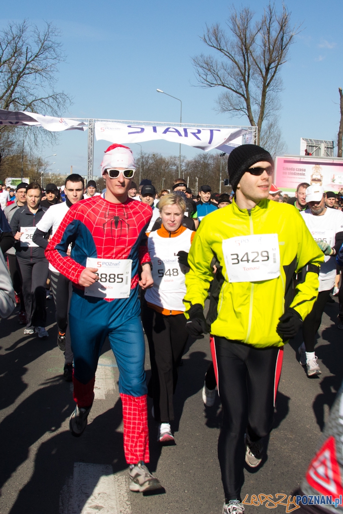 5 Poznań Półmaraton Foto: (c) Anna Bernard 5 Poznań Półmaraton Foto: (c) Anna Bernard