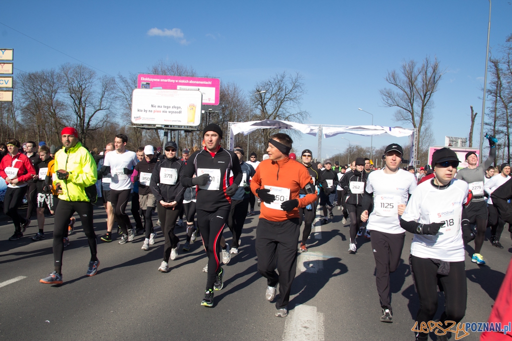 5 Poznań Półmaraton Foto: (c) Anna Bernard 5 Poznań Półmaraton Foto: (c) Anna Bernard