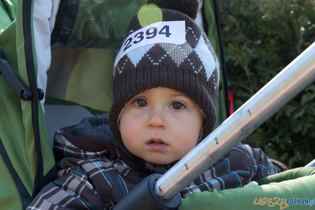 5 Poznań Półmaraton Foto: (c) Anna Bernard 5 Poznań Półmaraton Foto: (c) Anna Bernard