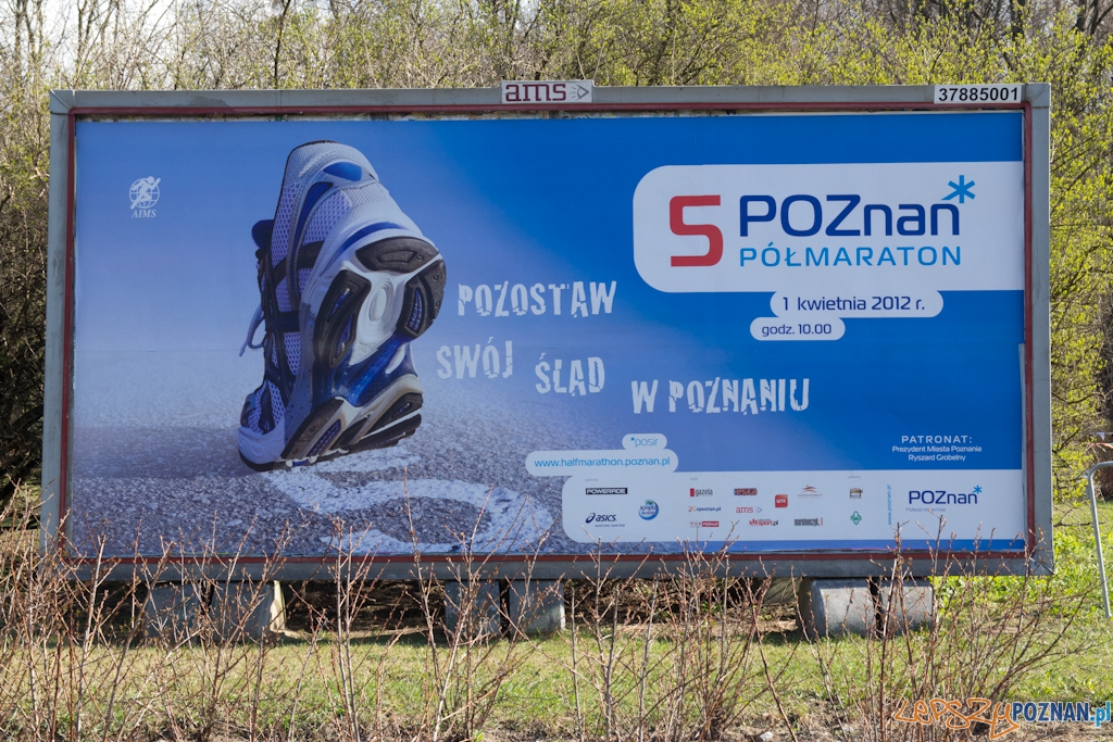 5 Poznań Półmaraton Foto: (c) Anna Bernard 5 Poznań Półmaraton Foto: (c) Anna Bernard