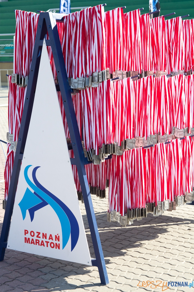 5 Poznań Półmaraton Foto: (c) Anna Bernard 5 Poznań Półmaraton Foto: (c) Anna Bernard