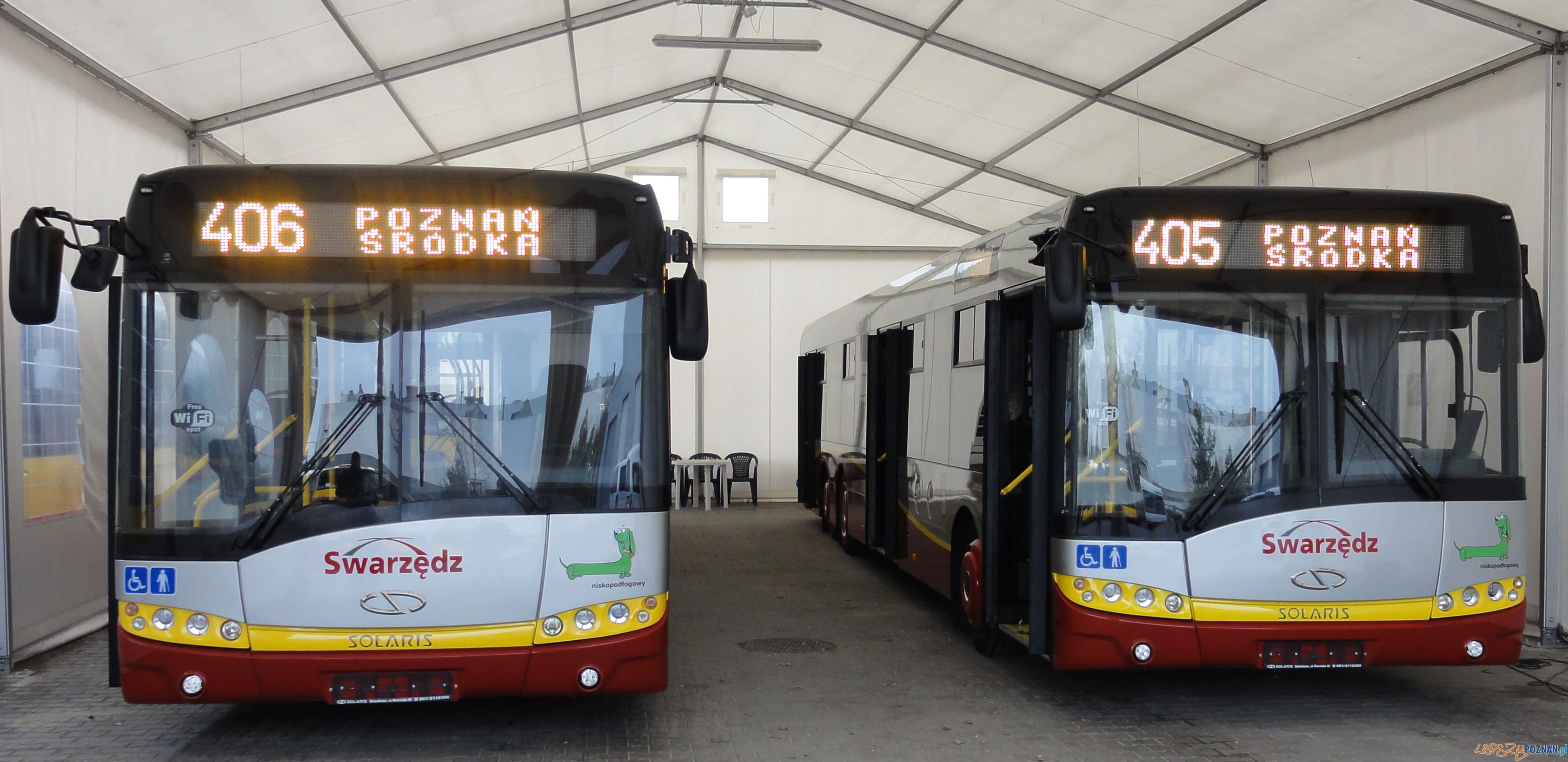 Autobusy w Swarzędzu  Foto: Swarzędzka Komunikacja Autobusowa