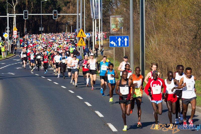 5 Poznań Półmaraton Foto: lepszyPOZNAN.pl / Piotr Rychter 5 Poznań Półmaraton Foto: lepszyPOZNAN.pl / Piotr Rychter