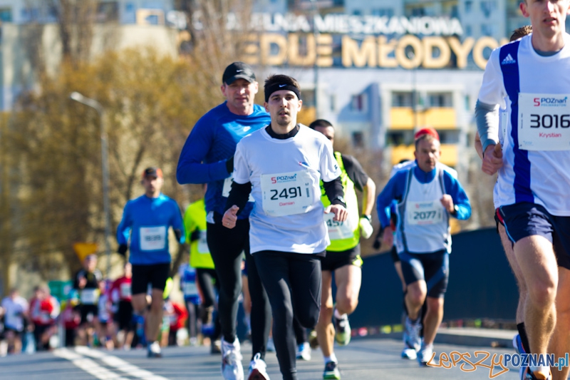 5 Poznań Półmaraton Foto: lepszyPOZNAN.pl / Piotr Rychter 5 Poznań Półmaraton Foto: lepszyPOZNAN.pl / Piotr Rychter