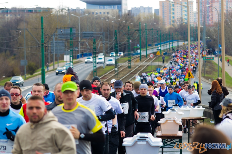 5 Poznań Półmaraton Foto: lepszyPOZNAN.pl / Piotr Rychter 5 Poznań Półmaraton Foto: lepszyPOZNAN.pl / Piotr Rychter