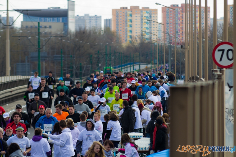 5 Poznań Półmaraton Foto: lepszyPOZNAN.pl / Piotr Rychter 5 Poznań Półmaraton Foto: lepszyPOZNAN.pl / Piotr Rychter