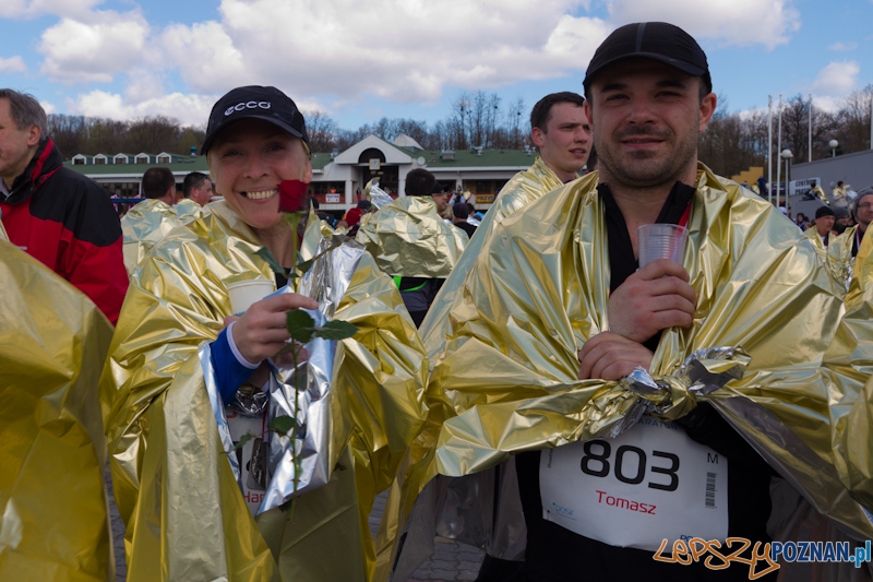 5 Poznań Półmaraton Foto: lepszyPOZNAN.pl / Piotr Rychter 5 Poznań Półmaraton Foto: lepszyPOZNAN.pl / Piotr Rychter