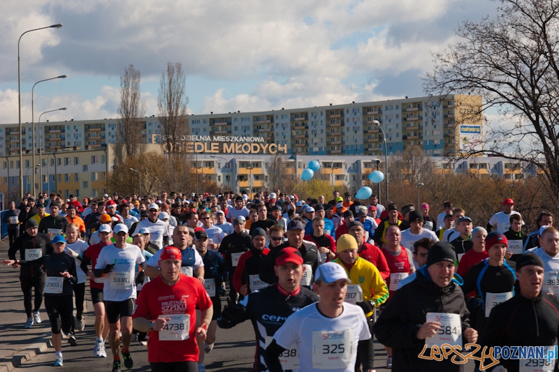 5 Poznań Półmaraton Foto: lepszyPOZNAN.pl / Piotr Rychter 5 Poznań Półmaraton Foto: lepszyPOZNAN.pl / Piotr Rychter