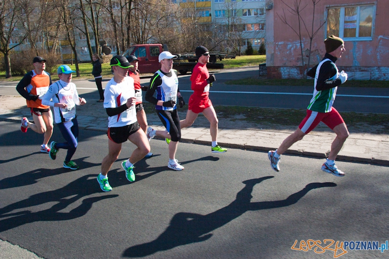 5 Poznań Półmaraton Foto: lepszyPOZNAN.pl / Piotr Rychter 5 Poznań Półmaraton Foto: lepszyPOZNAN.pl / Piotr Rychter