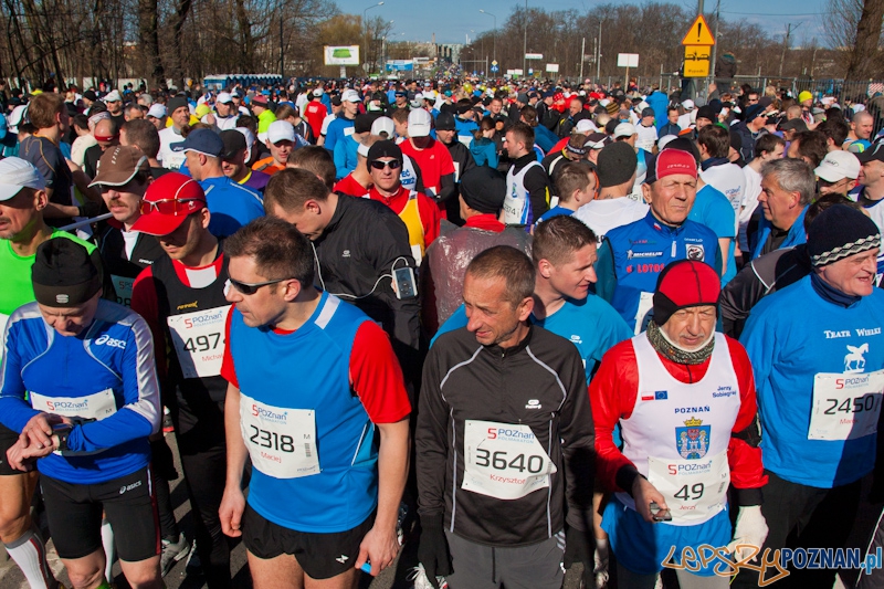 5 Poznań Półmaraton Foto: lepszyPOZNAN.pl / Piotr Rychter 5 Poznań Półmaraton Foto: lepszyPOZNAN.pl / Piotr Rychter