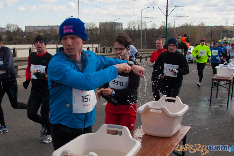 5 Poznań Półmaraton Foto: lepszyPOZNAN.pl / Piotr Rychter 5 Poznań Półmaraton Foto: lepszyPOZNAN.pl / Piotr Rychter