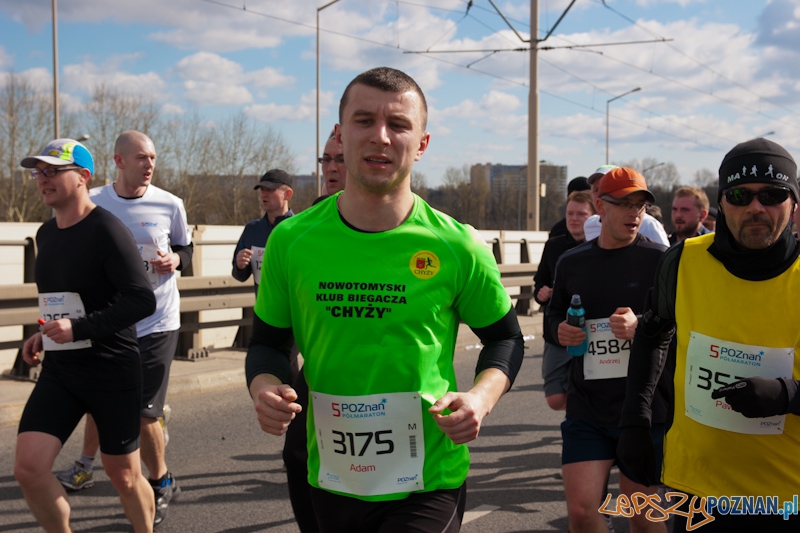 5 Poznań Półmaraton Foto: lepszyPOZNAN.pl / Piotr Rychter 5 Poznań Półmaraton Foto: lepszyPOZNAN.pl / Piotr Rychter