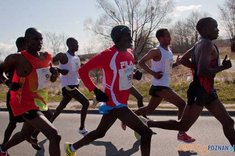 5 Poznań Półmaraton Foto: lepszyPOZNAN.pl / Piotr Rychter 5 Poznań Półmaraton Foto: lepszyPOZNAN.pl / Piotr Rychter
