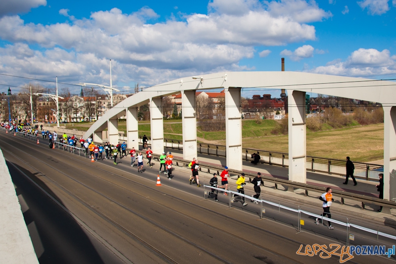 5 Poznań Półmaraton Foto: lepszyPOZNAN.pl / Piotr Rychter 5 Poznań Półmaraton Foto: lepszyPOZNAN.pl / Piotr Rychter
