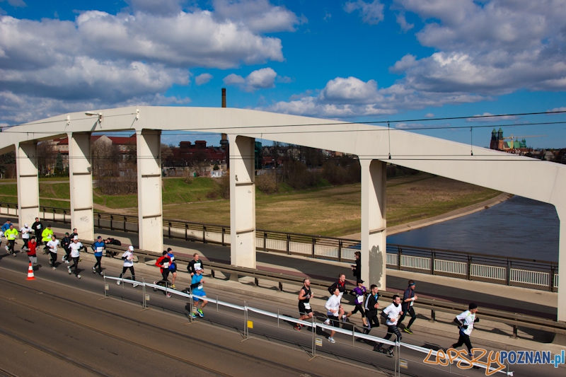 5 Poznań Półmaraton Foto: lepszyPOZNAN.pl / Piotr Rychter 5 Poznań Półmaraton Foto: lepszyPOZNAN.pl / Piotr Rychter