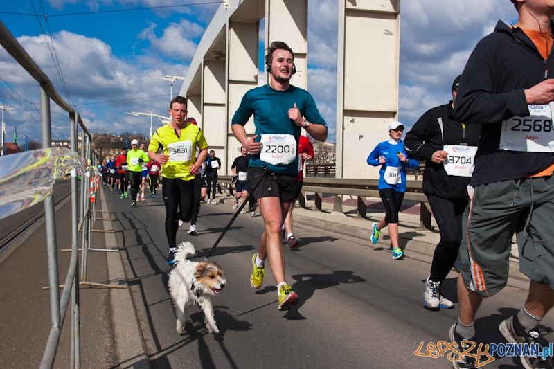 5 Poznań Półmaraton Foto: lepszyPOZNAN.pl / Piotr Rychter 5 Poznań Półmaraton Foto: lepszyPOZNAN.pl / Piotr Rychter