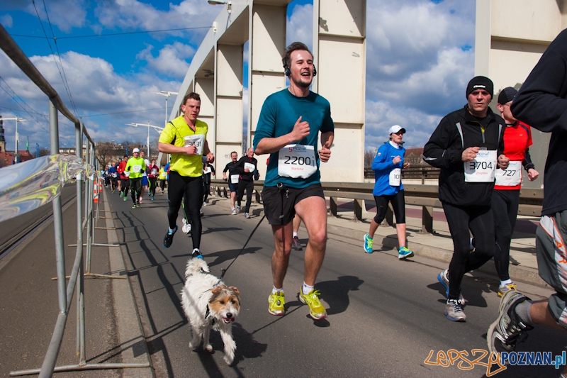 5 Poznań Półmaraton Foto: lepszyPOZNAN.pl / Piotr Rychter 5 Poznań Półmaraton Foto: lepszyPOZNAN.pl / Piotr Rychter