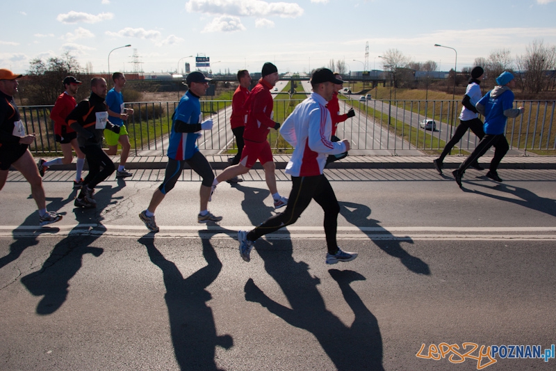 5 Poznań Półmaraton Foto: lepszyPOZNAN.pl / Piotr Rychter 5 Poznań Półmaraton Foto: lepszyPOZNAN.pl / Piotr Rychter