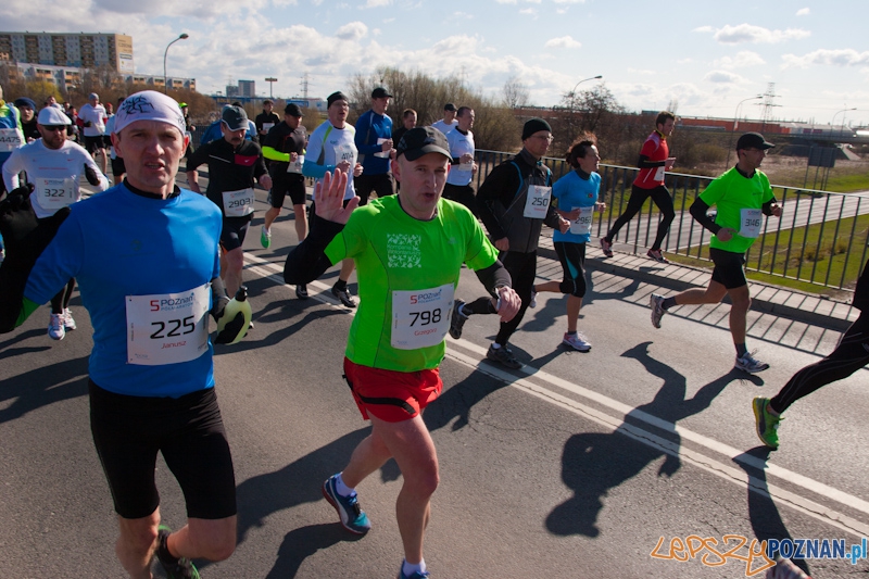 5 Poznań Półmaraton Foto: lepszyPOZNAN.pl / Piotr Rychter 5 Poznań Półmaraton Foto: lepszyPOZNAN.pl / Piotr Rychter